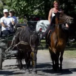 200908030498_w350 (copie)