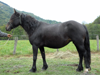 MOITA D&rsquo;ANTRAS