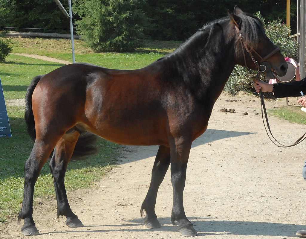 RAMBALH DE BOUTOU