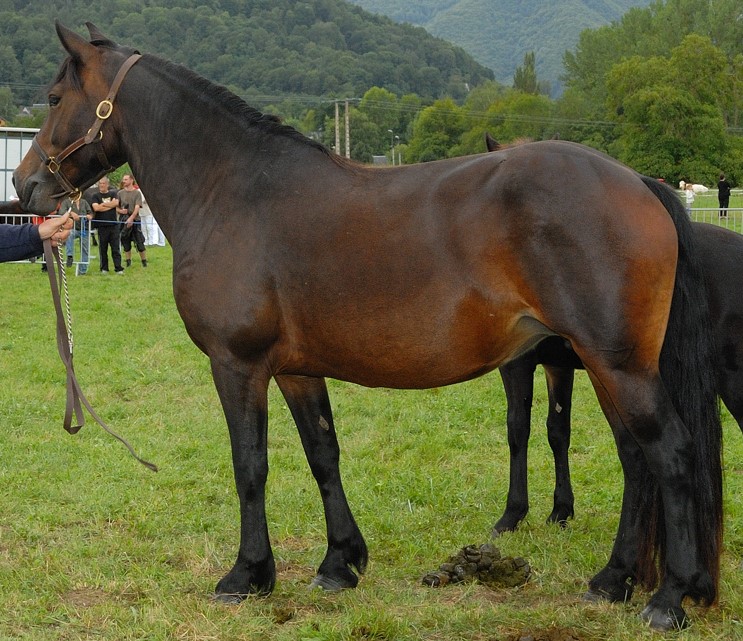SYBEL DE EMBRUN