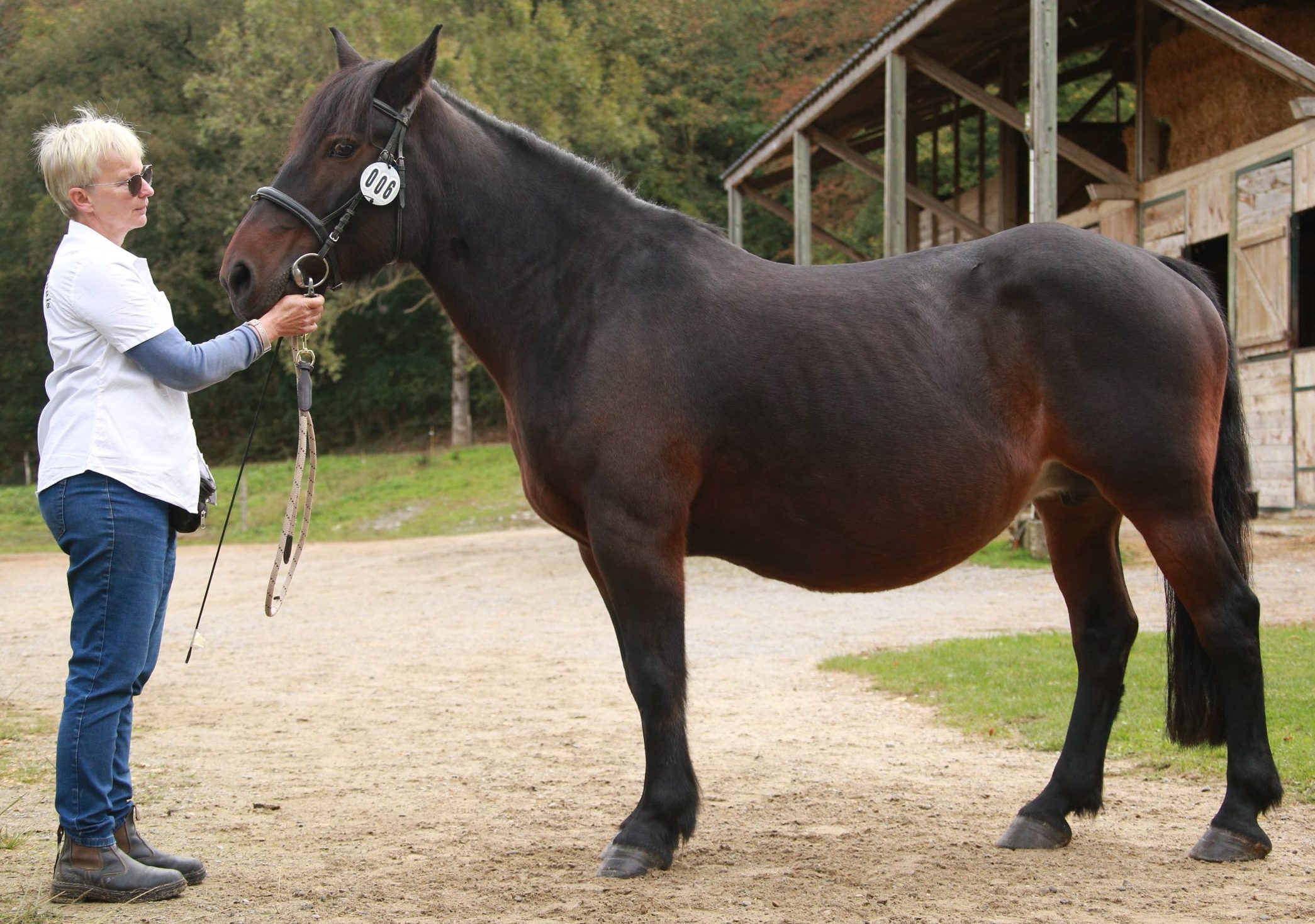 CHAMSIN DE SIADOUS