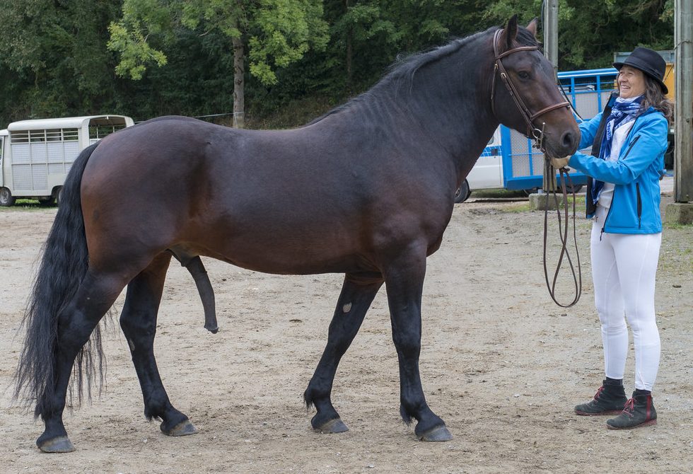 EVEIL D&rsquo;EQUIVITA