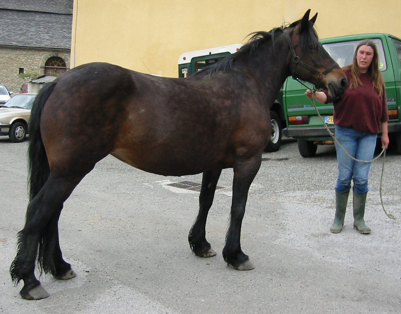 GITANE