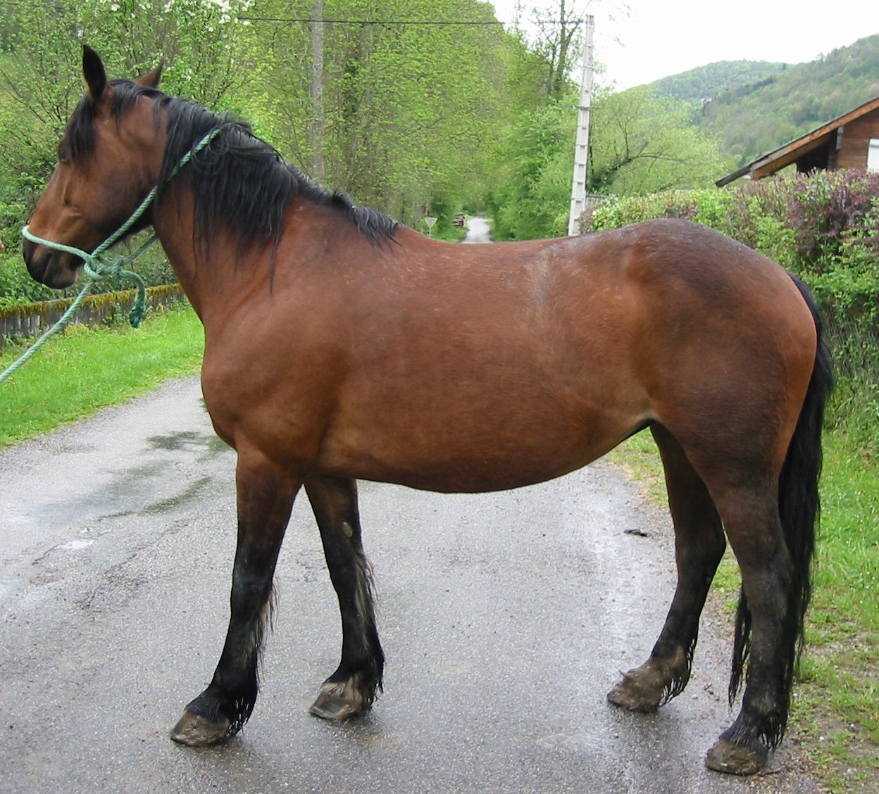 KASTILLE DU BOUTOU