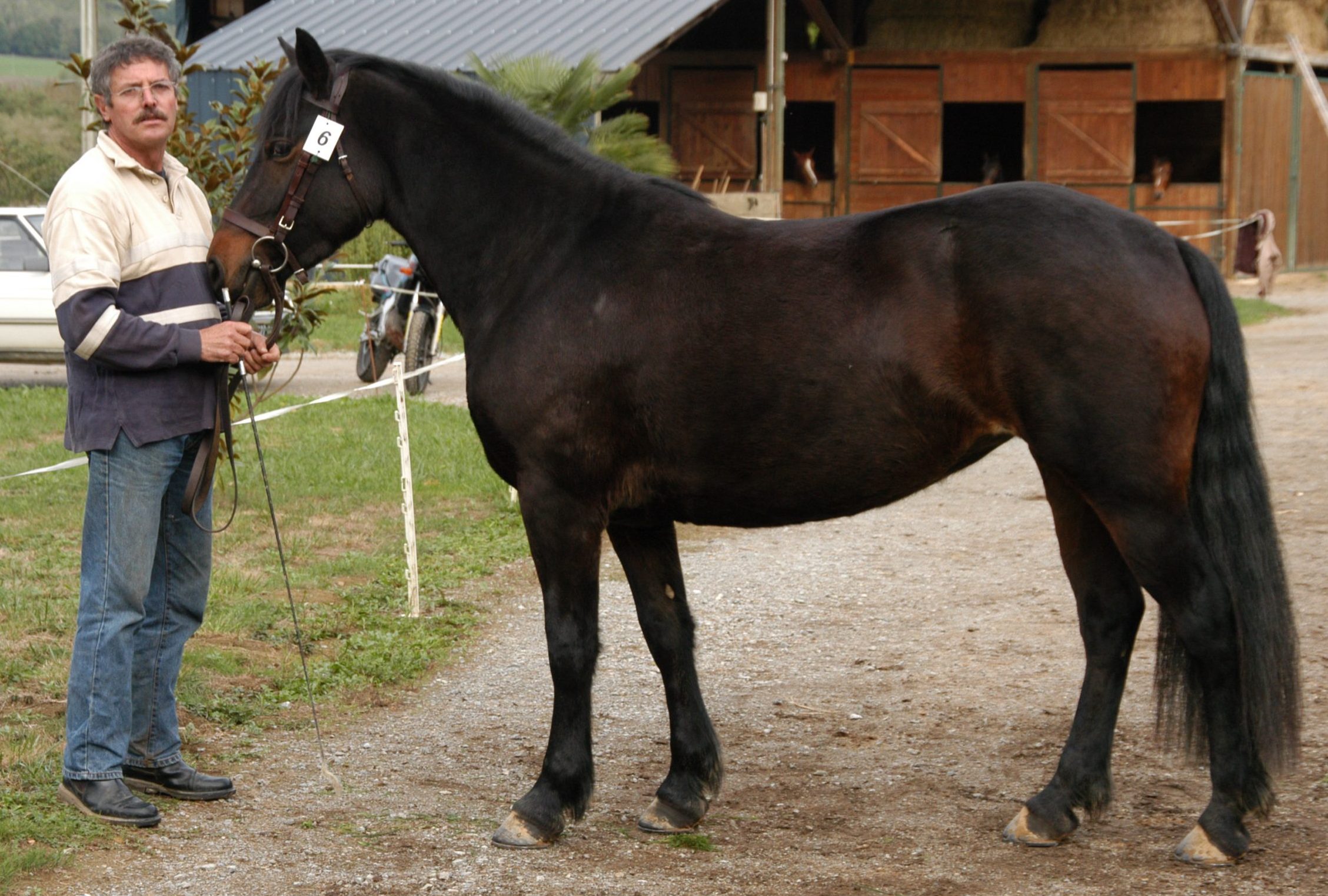 MIRLIFLORE DE BOUTOU