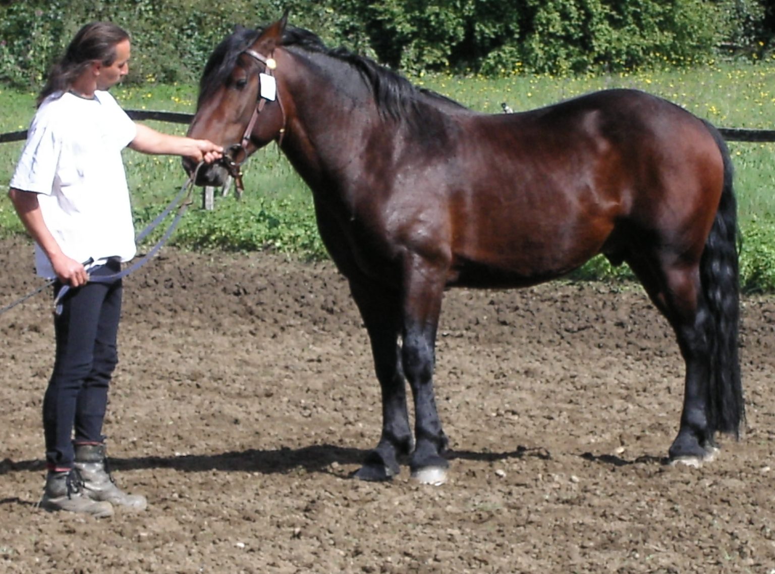 ONEYL DU LOCH ARBIG