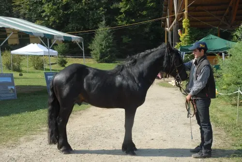 48605644307 a88635c5c4 b-
