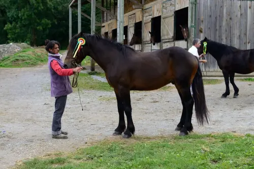 9841181263 5cc623f3c0 b-