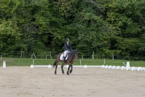48629526812 22620b5668 b-