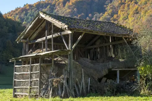 Samedi-10-novembre-2018-11-h-51-Ariege-Pyrenees-