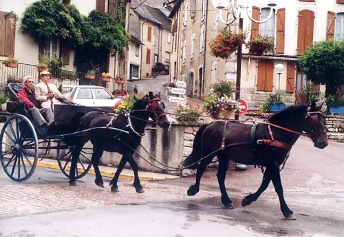 attelage hardi et fils-