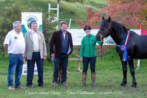 Photos concours 2024-001