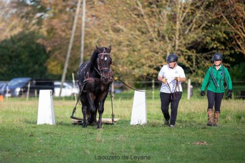 Photos concours 2024-008