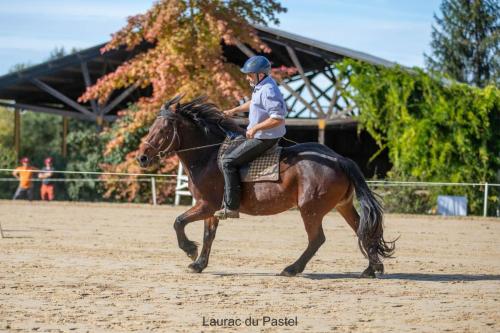 Photos concours 2024-110