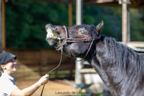 Photos concours 2024-168
