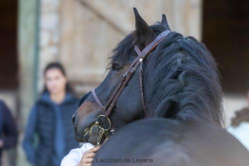 Concours 2024