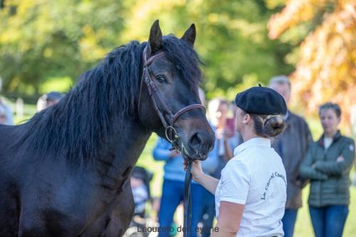 Photos concours 2024-170
