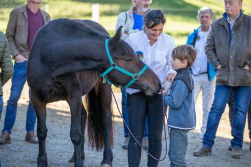 Photos concours 2024-179