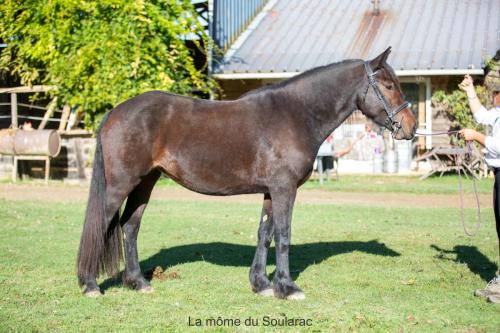 Photos concours 2024-182