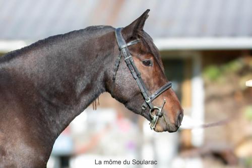 Photos concours 2024-183