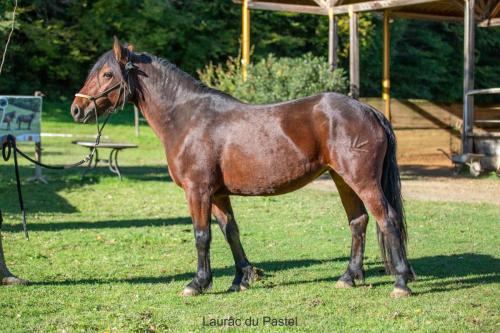 Photos concours 2024-184