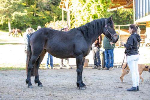 Photos concours 2024-189