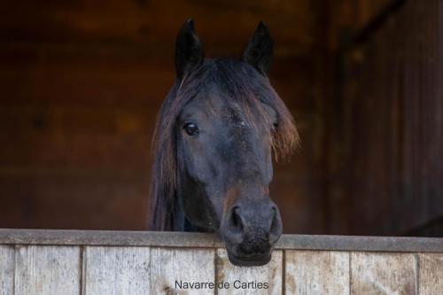 Photos concours 2024-192