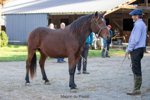 Photos concours 2024-193