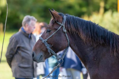Photos concours 2024-194