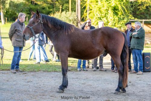 Photos concours 2024-195