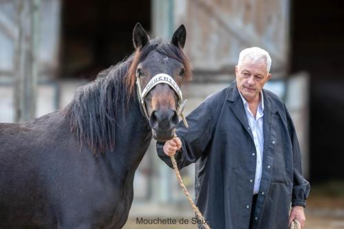 Photos concours 2024-202