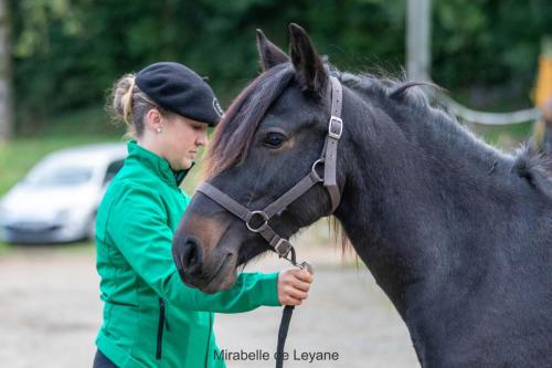 Photos concours 2024-207