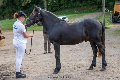 Photos concours 2024-210