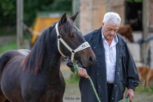 Photos concours 2024-213