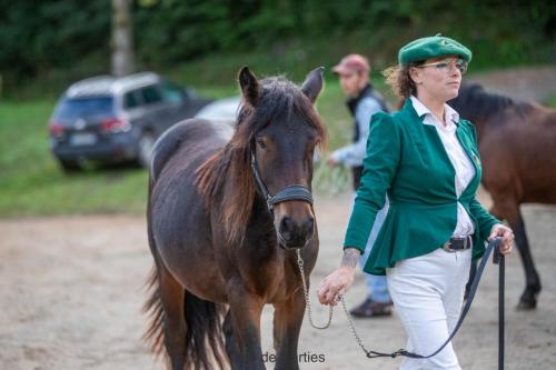 Photos concours 2024-214