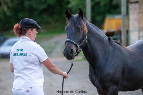 Photos concours 2024-215